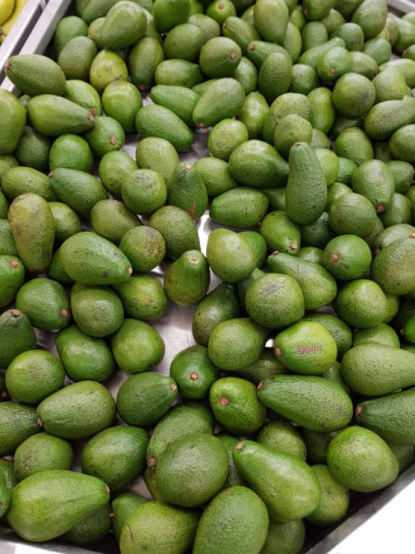 Avocados from Kenya